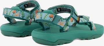 TEVA Sandals & Slippers in Green