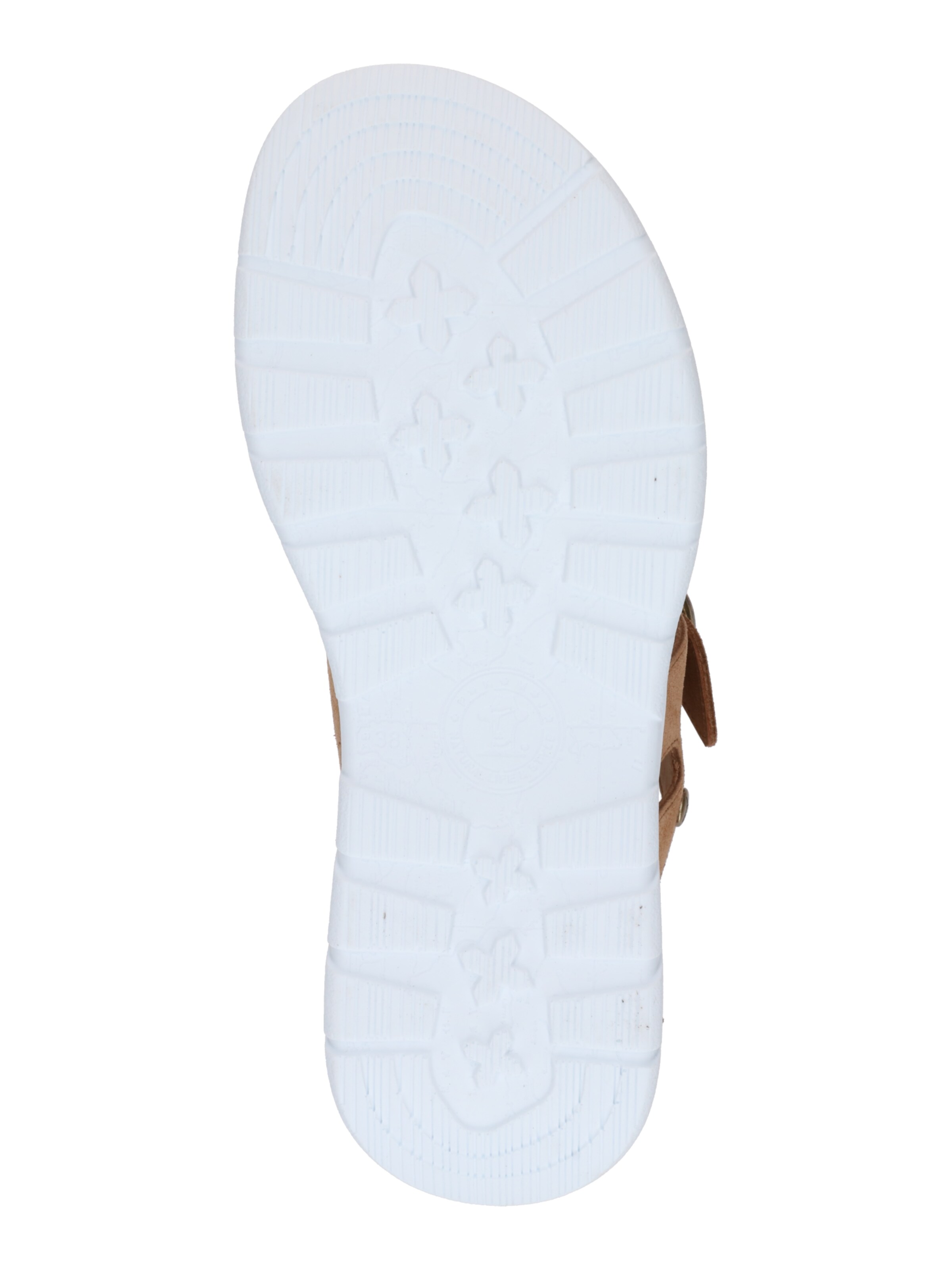 brūns PANAMA JACK Ādas čības 'Navia B2'