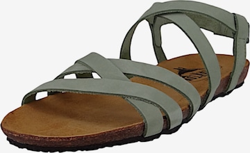 Sandales à lanières Plakton en vert : devant