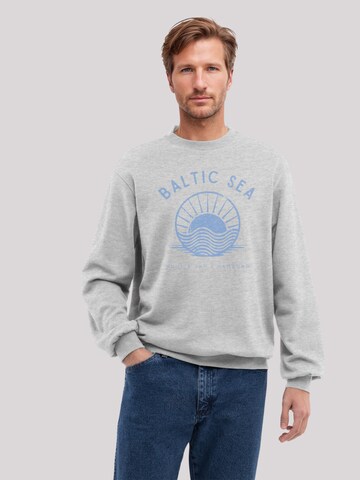 Sweat-shirt 'Baltic Sea Knut und Jan' F4NT4STIC en gris : devant