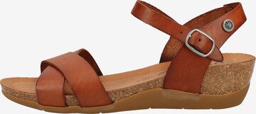 COSMOS COMFORT Sandalen met riem in Bruin