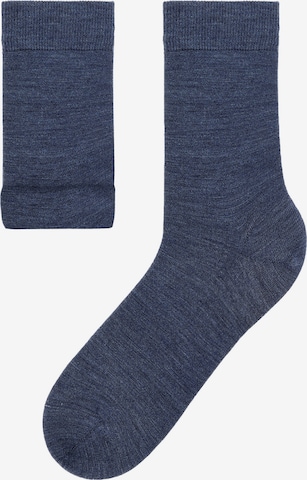 CALZEDONIA Socken in Blau: predná strana