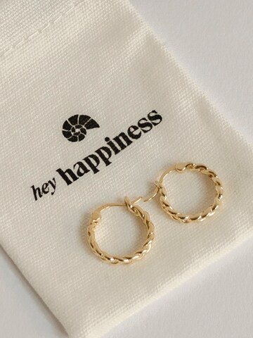 Hey Happiness Ohrring 'Braided' in Gold
