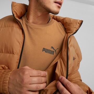 PUMA Winter Jacket in Brown