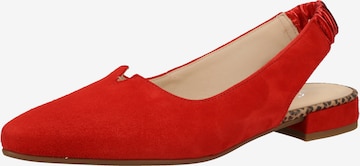 GABOR Pumps in Red: front