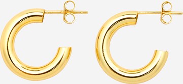 EDITED Earrings in Gold: front