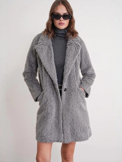 MixRay Between-Seasons Coat in L in Grey, Item view