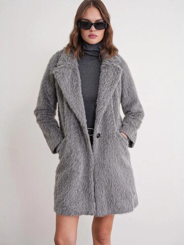 MixRay Between-Seasons Coat in Grey: front