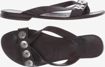 Noosa Sandals High Heeled Sandals in 39 in Brown ABOUT YOU