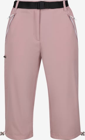 REGATTA Regular Outdoor Pants 'Xert' in Pink: front