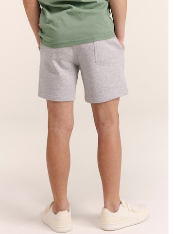 Regular Pantalon 'Sem' Shiwi en gris
