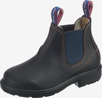 Blue Heeler Boots 'Wombat' in Brown: front