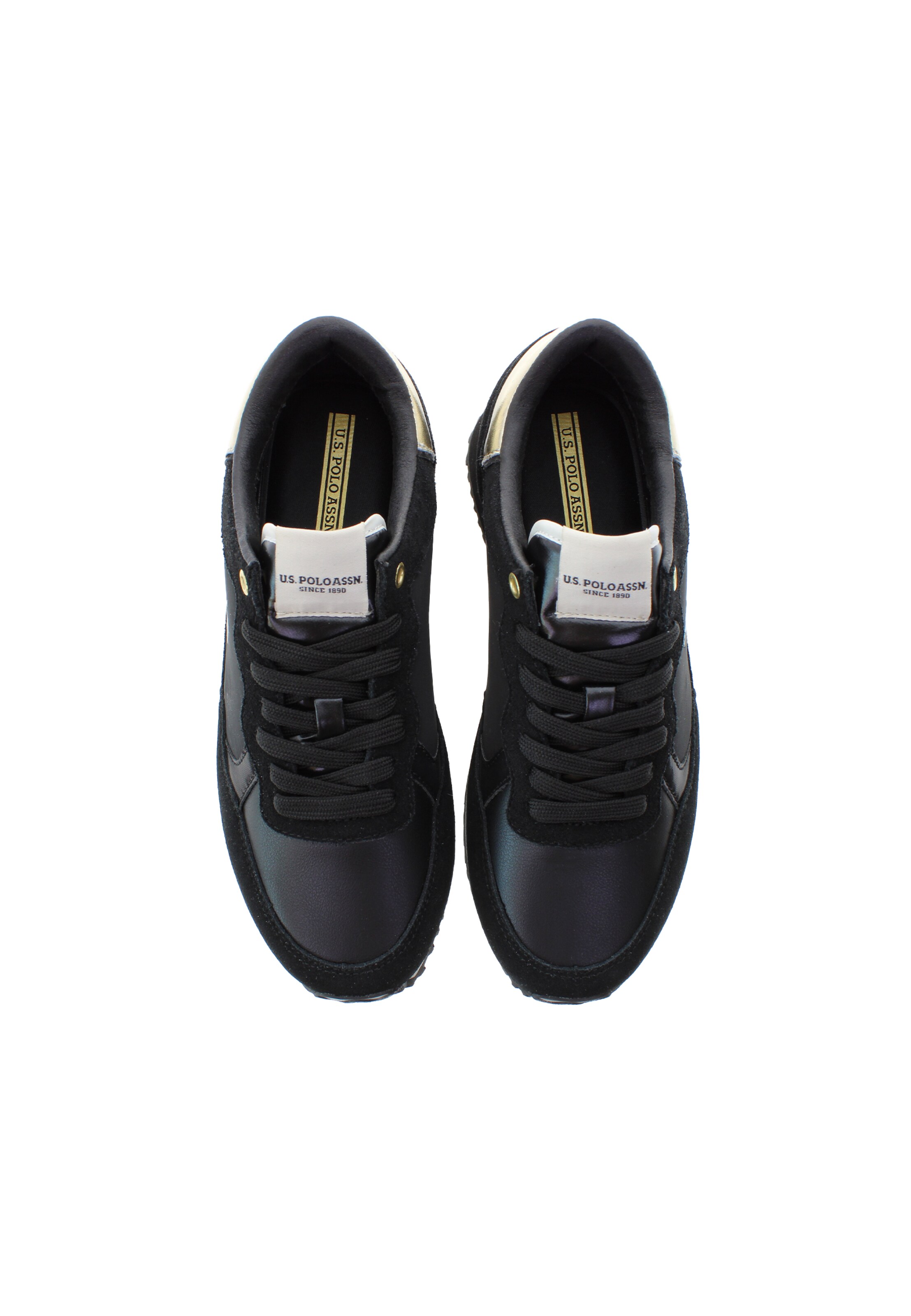 Sneaker bassa 'Sacha005' di U.S. POLO ASSN. in nero