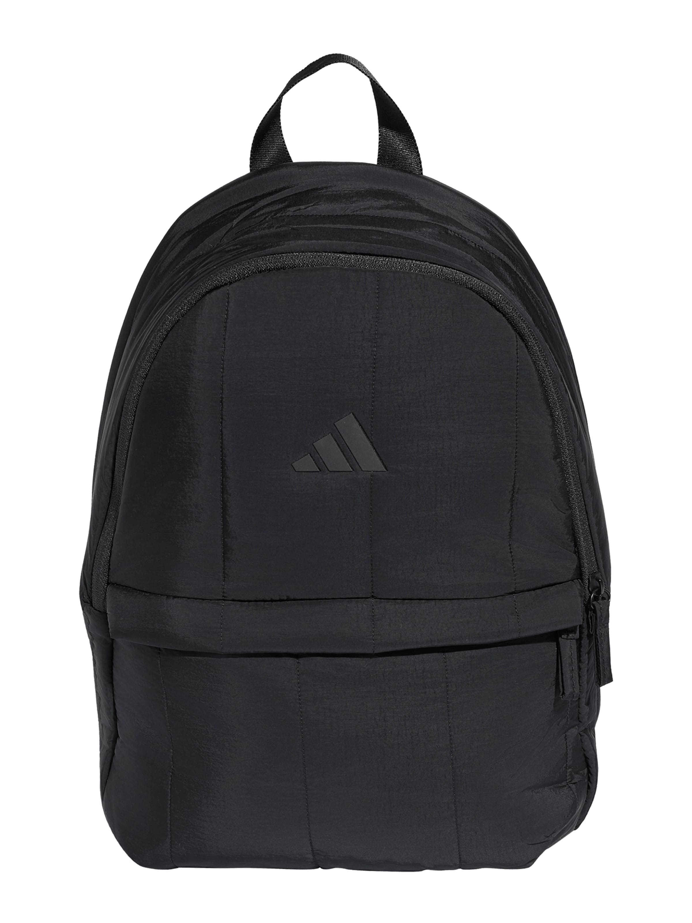 ADIDAS PERFORMANCE Σπορ σακίδιο πλάτης 'WINTER' σε μαύρο: μπροστά