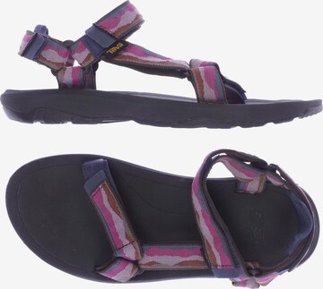 TEVA Sandalen 38 in Mischfarben: predná strana