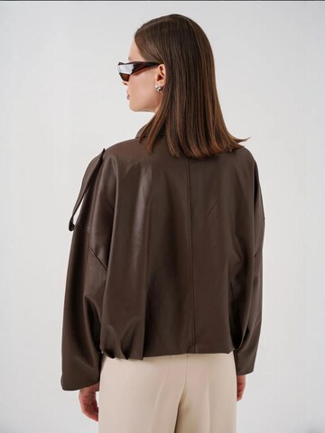 Veste d’hiver 'Jacken' Bigdart en marron