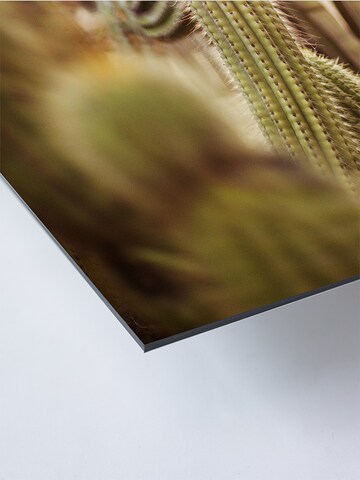 Liv Corday Image 'Cactus in Desert' in Grey