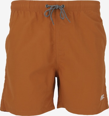 Cruz Board Shorts in Brown: front