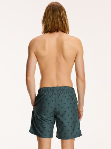 Shiwi Board Shorts in Green