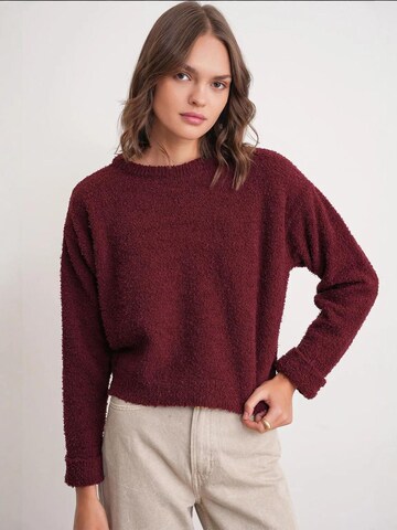 MixRay - Pullover 'Pullover' em vermelho