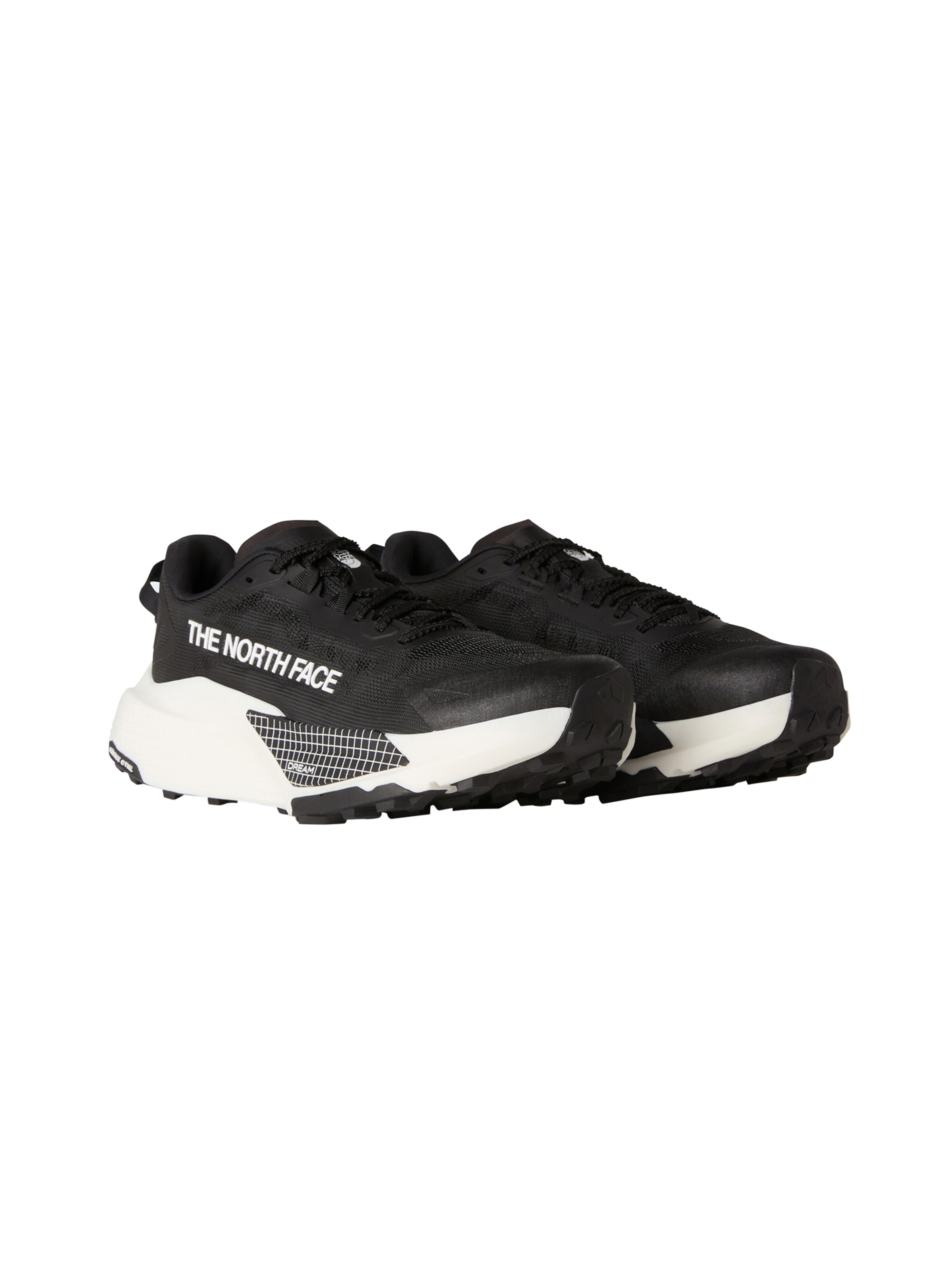 Chaussure de course 'Altamesa 500' THE NORTH FACE en noir