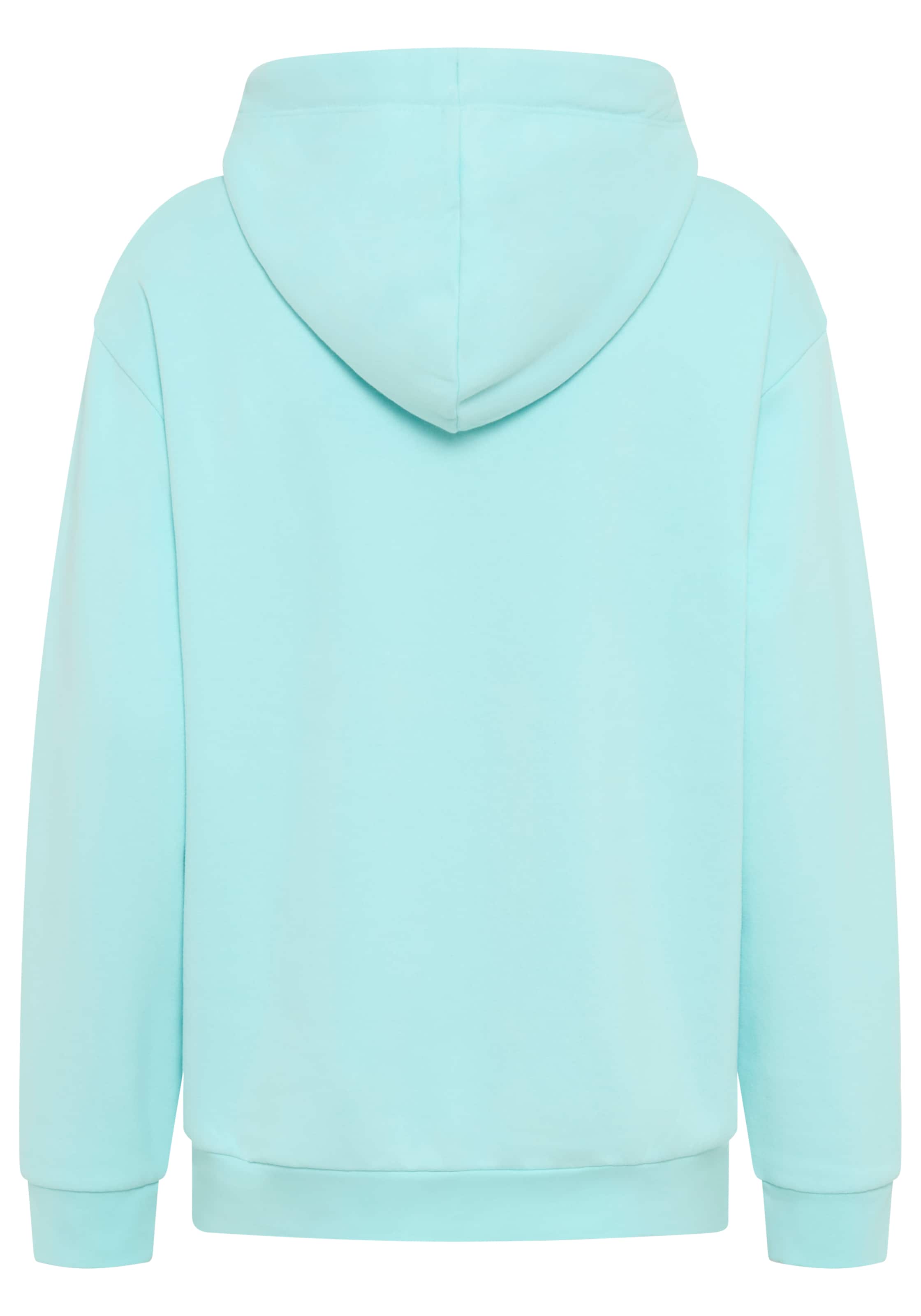 DELMAO Sweatshirt in Blau