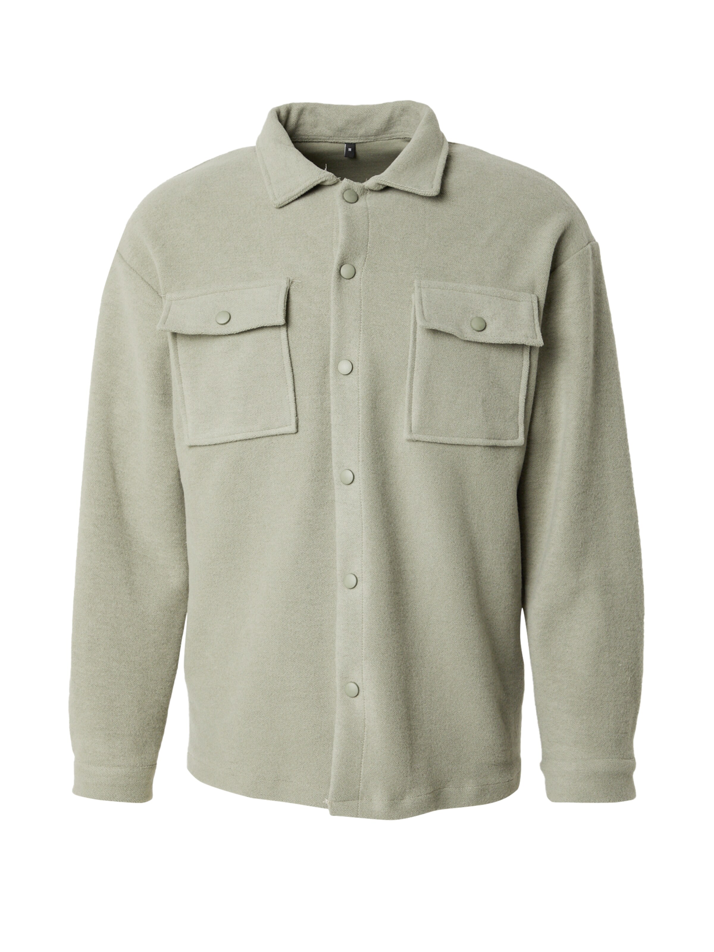 Trendyol Regular fit Πουκάμισο 'Shirt' σε πράσινο: μπροστά