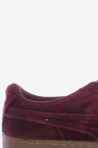 PUMA Sneaker 38 in Rot
