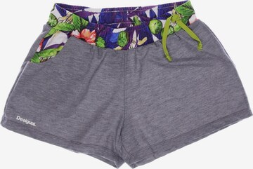 Desigual Shorts XL in Grau: predná strana