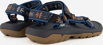 TEVA Hiking Sandals in Blue