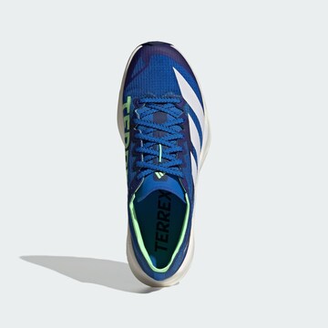 ADIDAS TERREX Running shoe 'Agravic Speed 2' in Blue