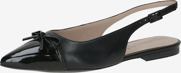 Ballerines CAPRICE en noir : devant