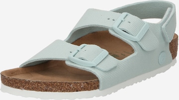 BIRKENSTOCK - Sapatos abertos 'Milano' em verde: frente