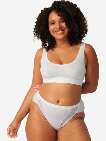 SLOGGI Slip 'Chic' in Gemengde kleuren