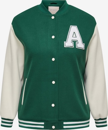 ONLY Carmakoma Between-Season Jacket in Green: front