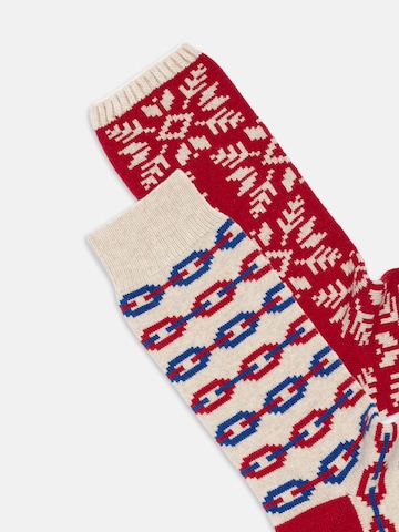 Chaussettes 'Cozy Andersens' DillySocks en mélange de couleurs