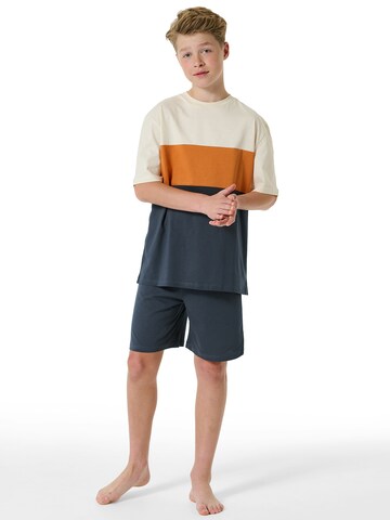 SCHIESSER Pajamas ' Organic Cotton ' in Blue: front
