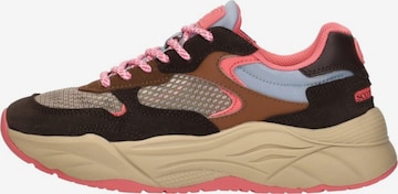 SCOTCH & SODA Sneaker low 'Celeste' in Braun: Vorderseite