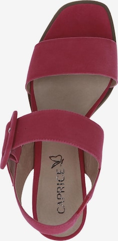 CAPRICE Sandal i rosa