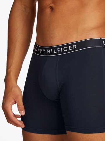 Tommy Hilfiger Underwear Boxer shorts in Blue