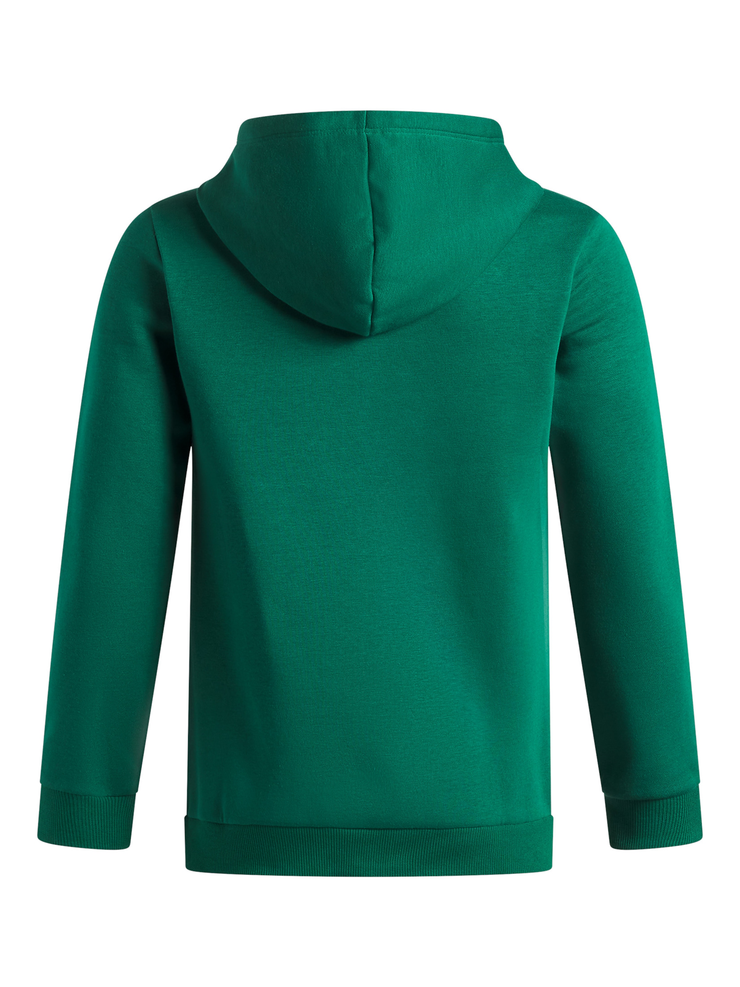 UNDER ARMOUR Sports sweatshirt 'Rival' in Green