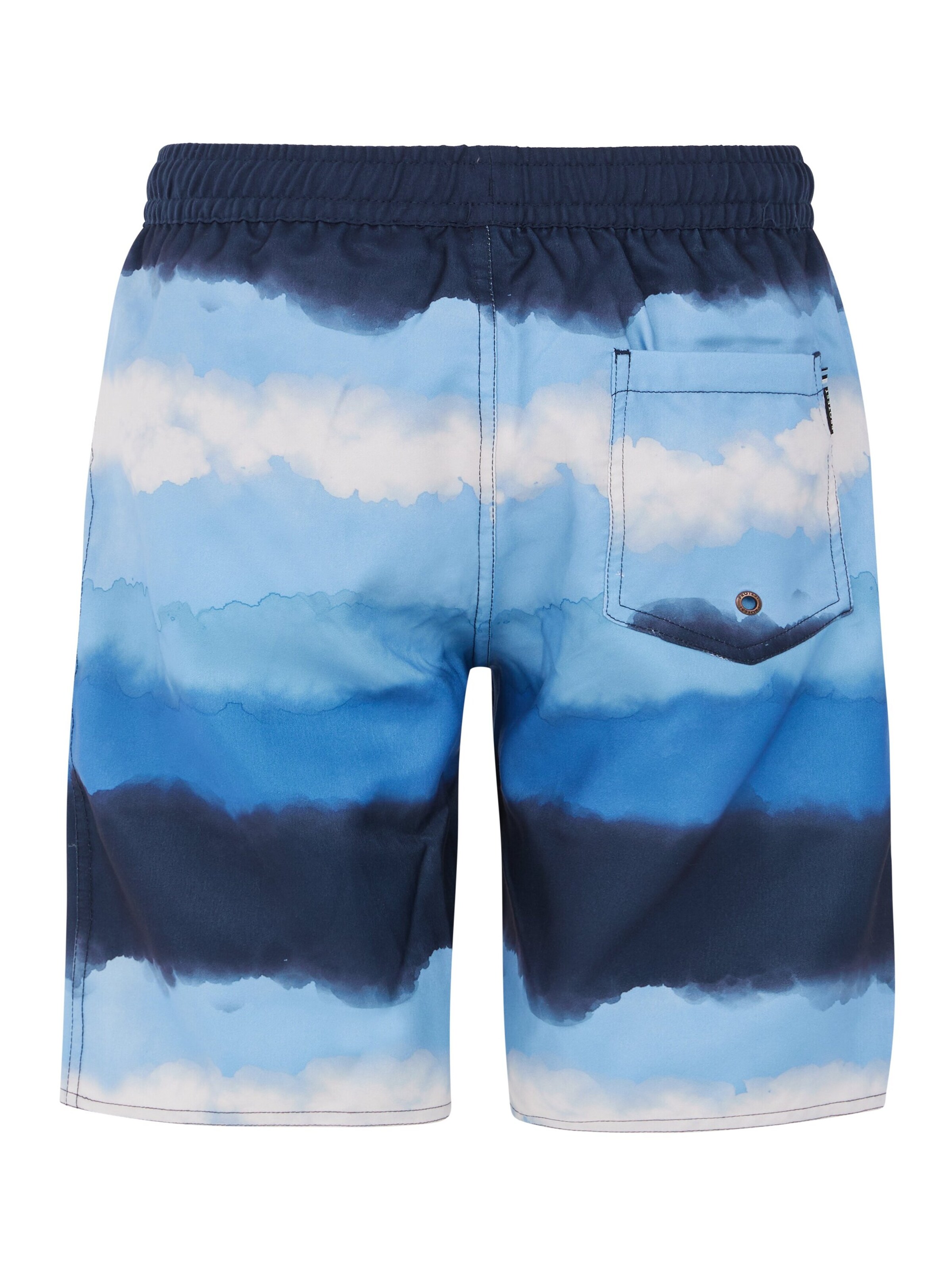 PROTEST Board Shorts 'PRTABEL JR' in Blue