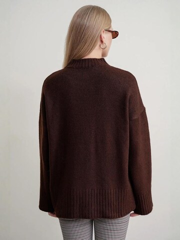 MixRay Trui in Bruin