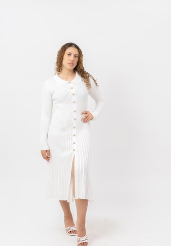 Elara Knit dress in White: front