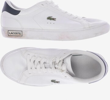 LACOSTE Sneakers & Trainers in 38 in White: front