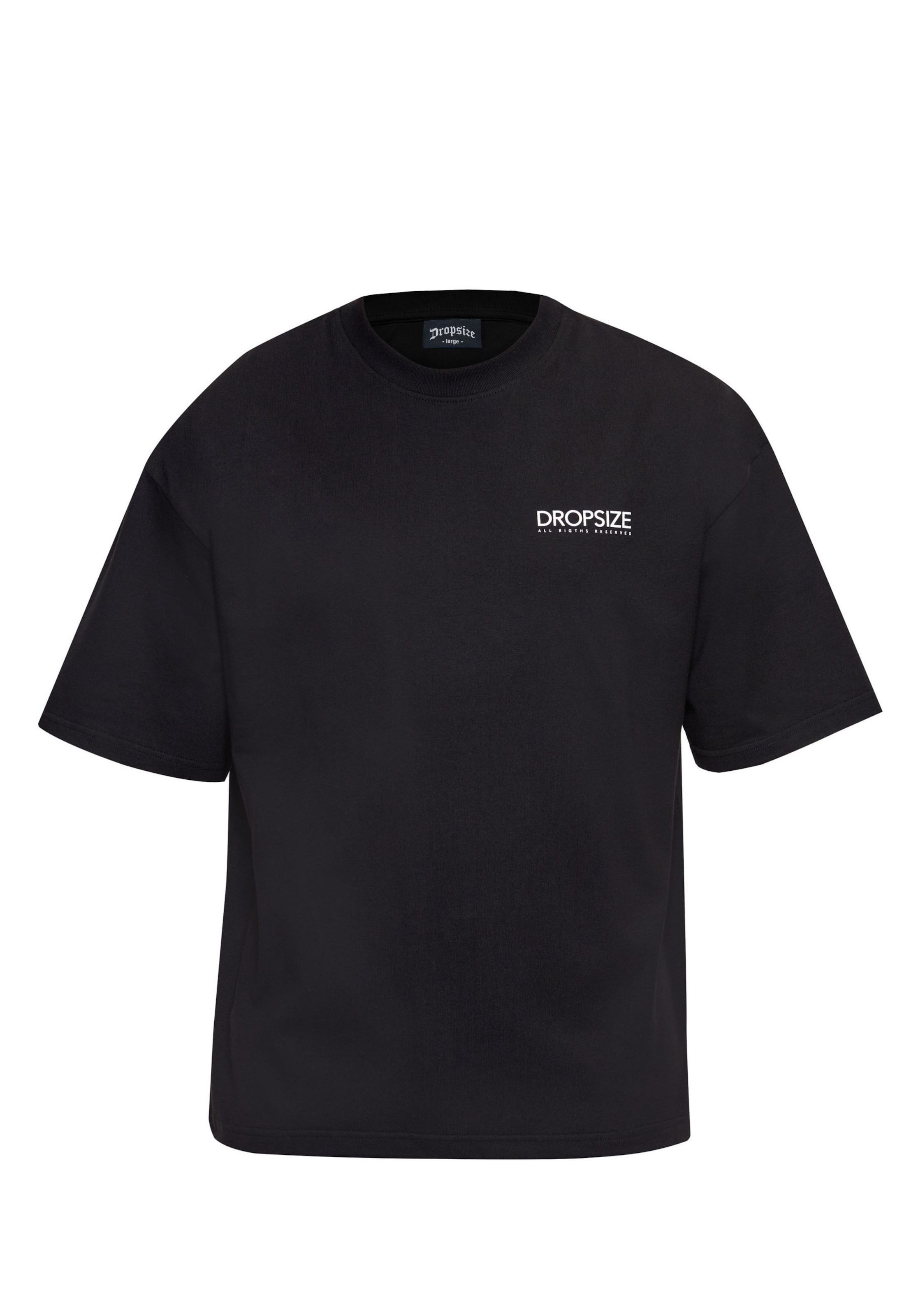 Dropsize Shirt in L in Smoke blue / Lavender / Black / White, Item view