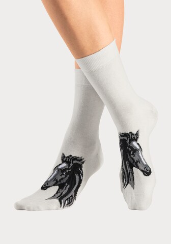 H.I.S Socks in Grey