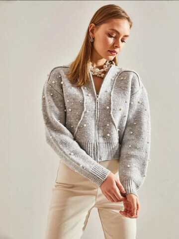 Cardigan 'Strickjacken' Bianco Lucci en gris