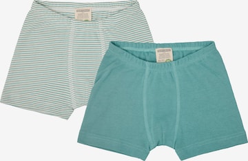 loud + proud Underpants in Green: front