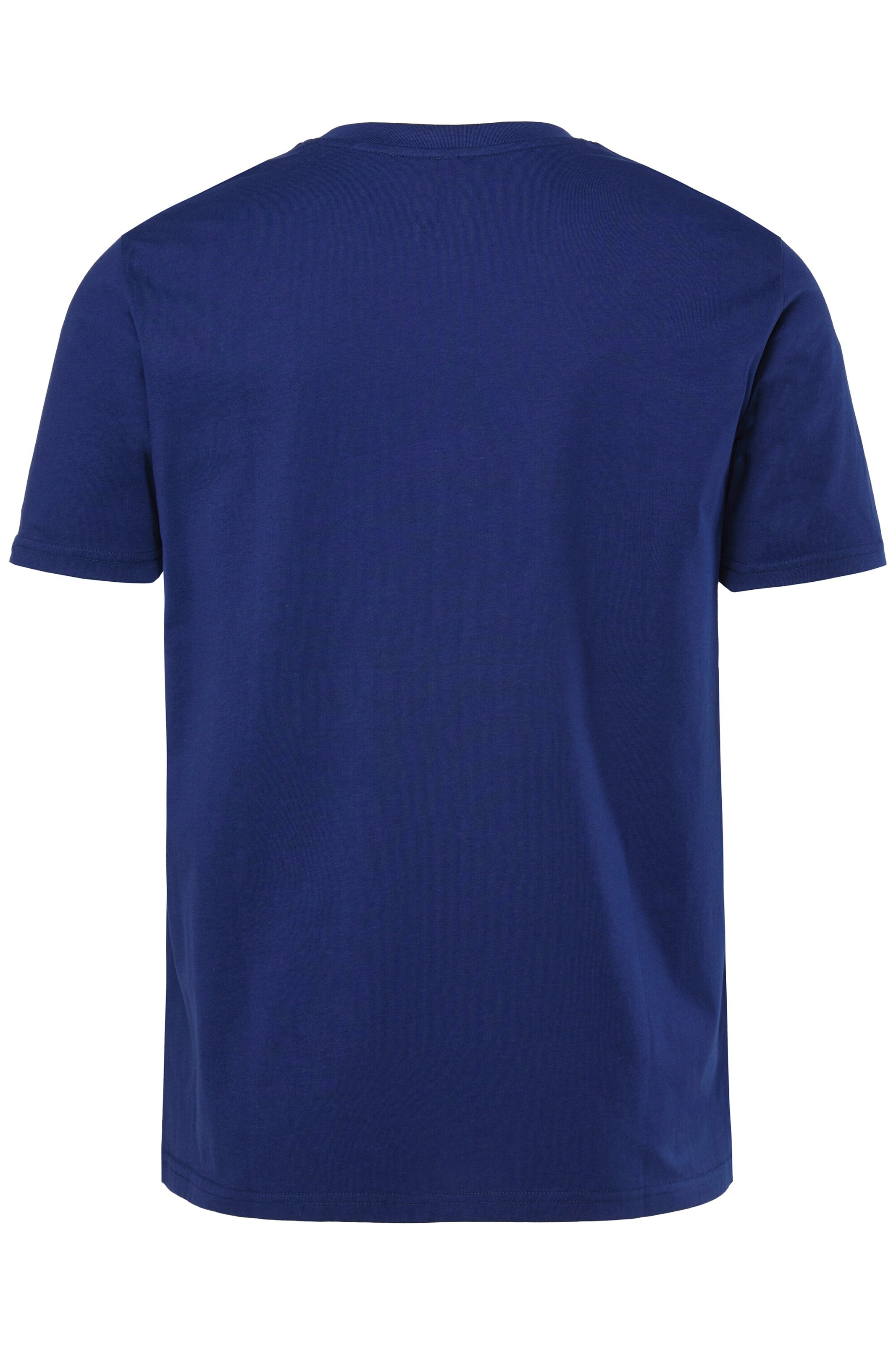 Men Plus T-Shirt in Blau